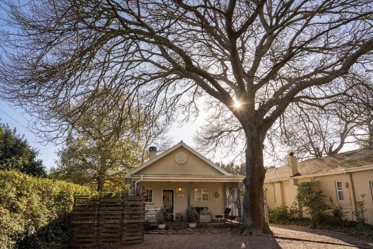 Belfield Wines And Farm Cottages Grabouw Exterior foto