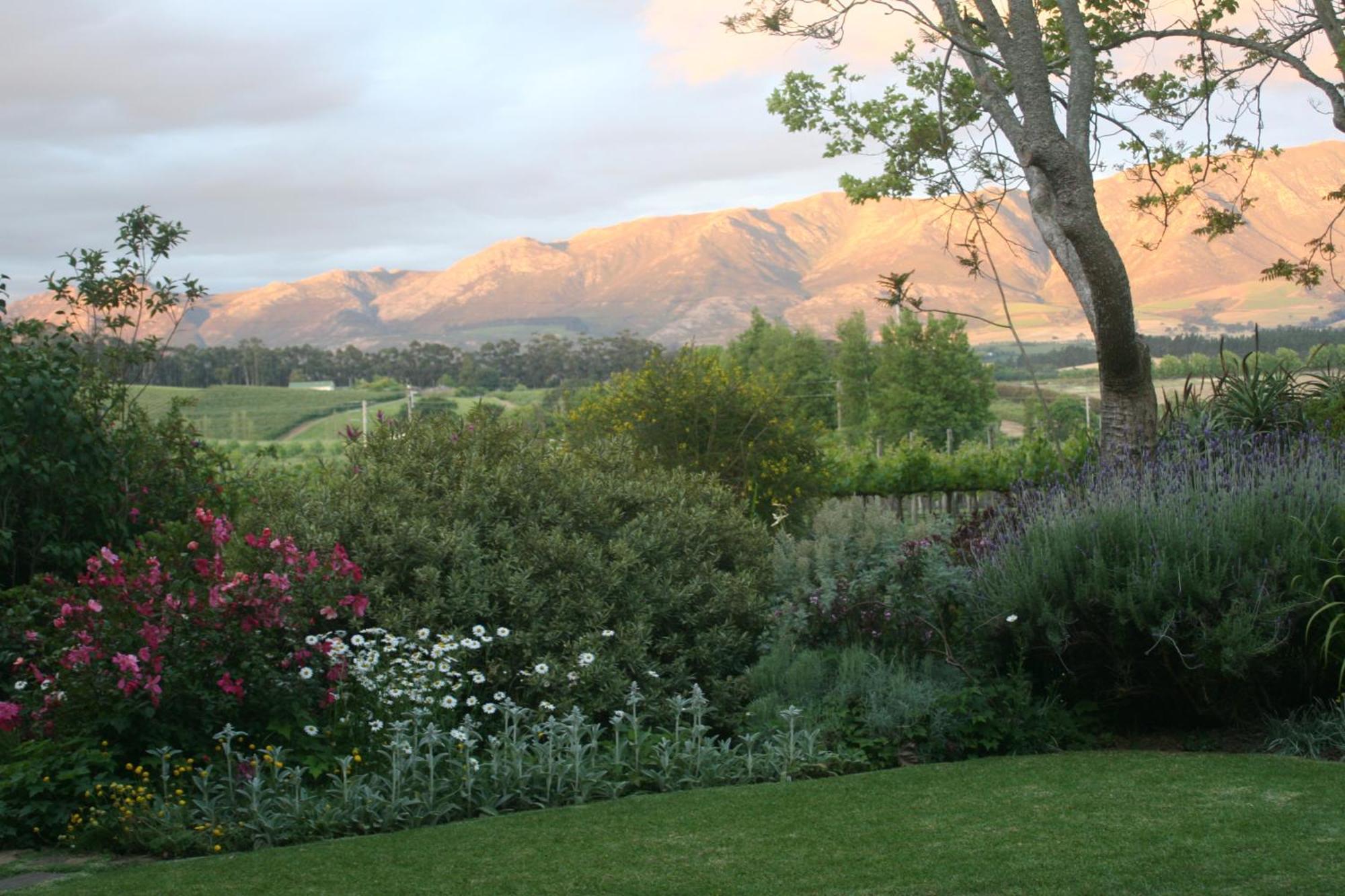 Belfield Wines And Farm Cottages Grabouw Exterior foto