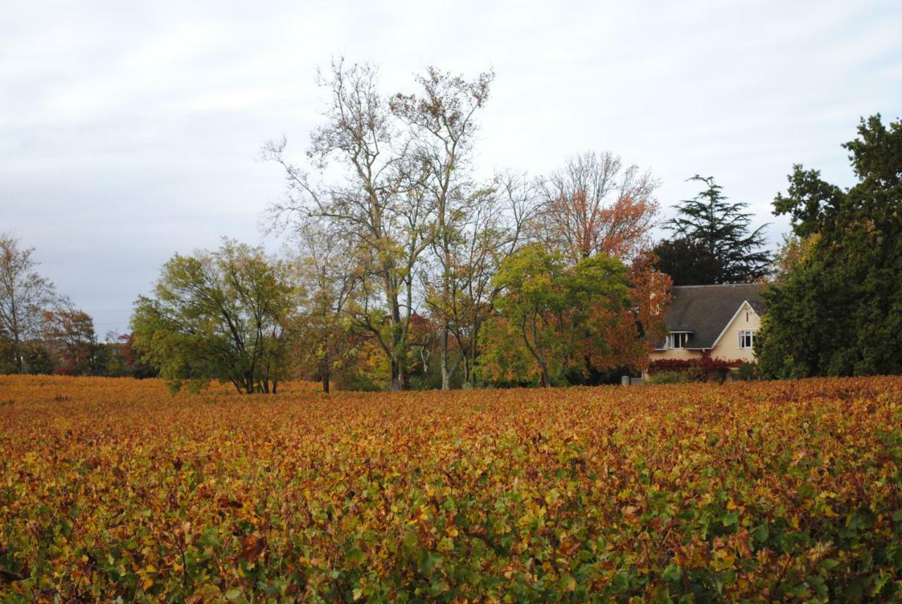 Belfield Wines And Farm Cottages Grabouw Exterior foto